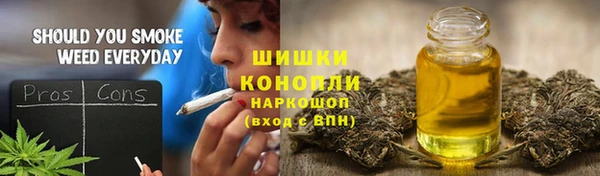 ГАЛЛЮЦИНОГЕННЫЕ ГРИБЫ Алексин