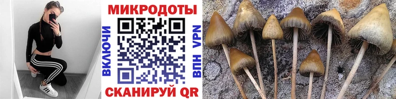 Галлюциногенные грибы прущие грибы даркнет сайт Безенчук