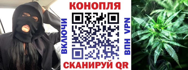 Бошки марихуана план  где продают наркотики  Безенчук 